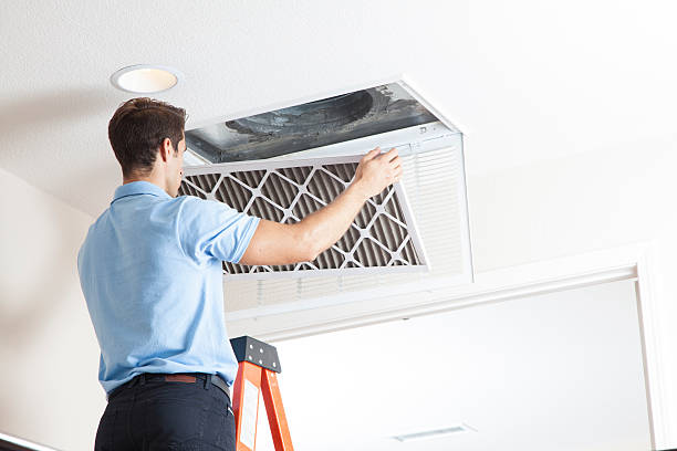 Best Air Filters and Purifiers in Dilworth, MN